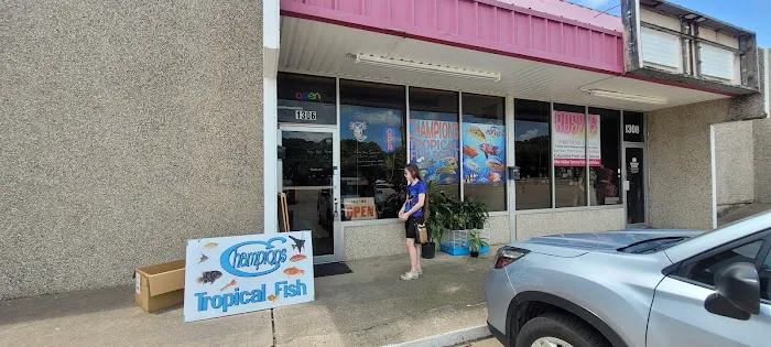 Champions Tropical Fish Room Picture 1