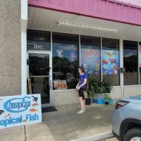 Champions Tropical Fish Room ico