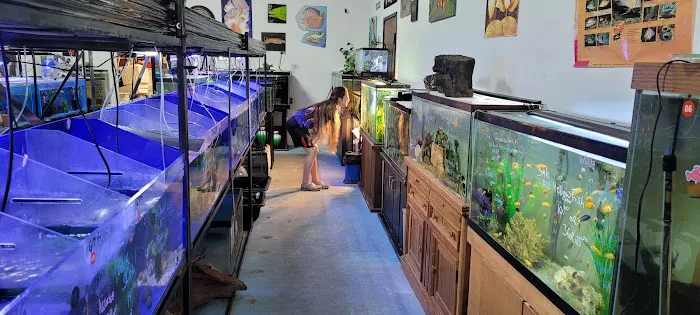 Champions Tropical Fish Room Picture 2