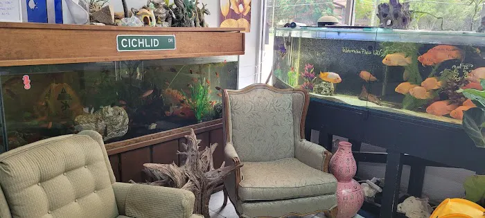 Champions Tropical Fish Room Picture 9