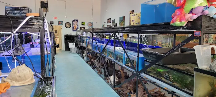 Champions Tropical Fish Room Picture 6