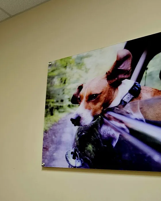 Vetco Vaccination Clinic Picture 2