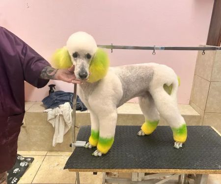 Vip Pet Gromming