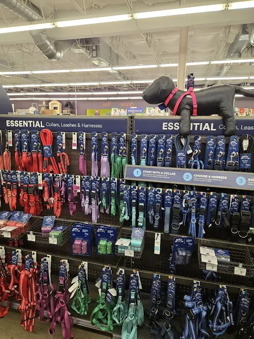 Petco Picture 3