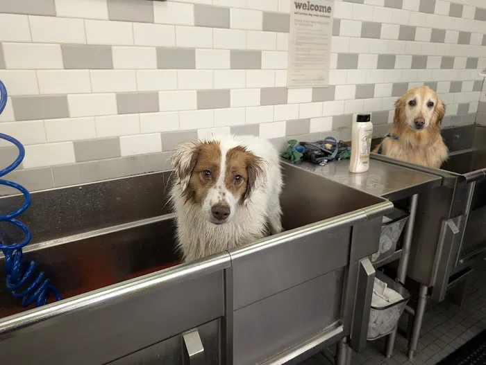Petco Picture 6