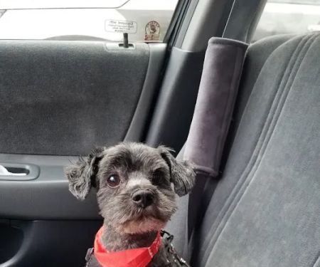 Manhattan Beach Animal Clinic