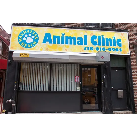 Manhattan Beach Animal Clinic Picture 9