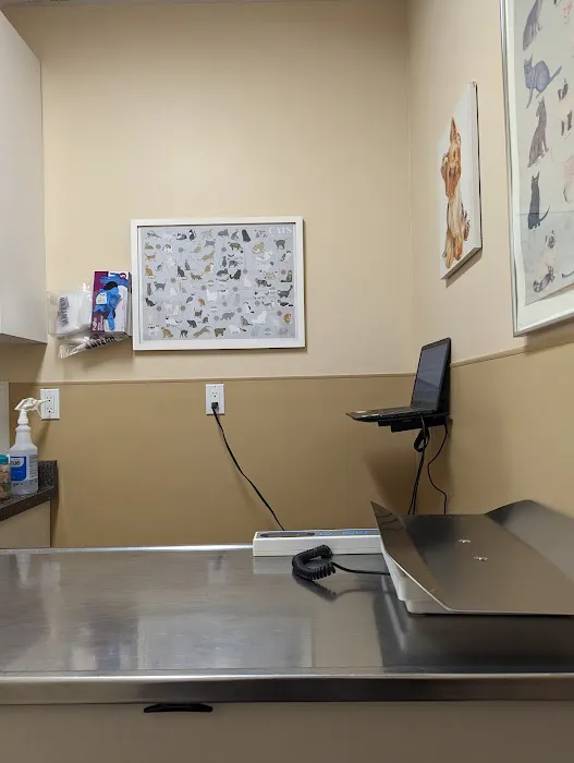 Dr. Jeffrey Z Stein Picture 2