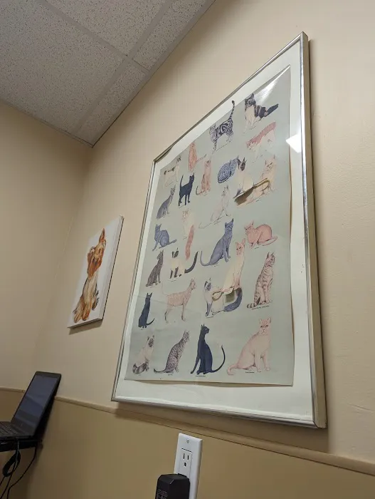 Dr. Jeffrey Z Stein Picture 8