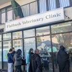 Flatbush Veterinary Clinic