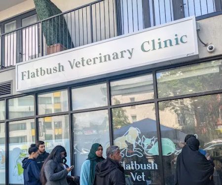 Flatbush Veterinary Clinic