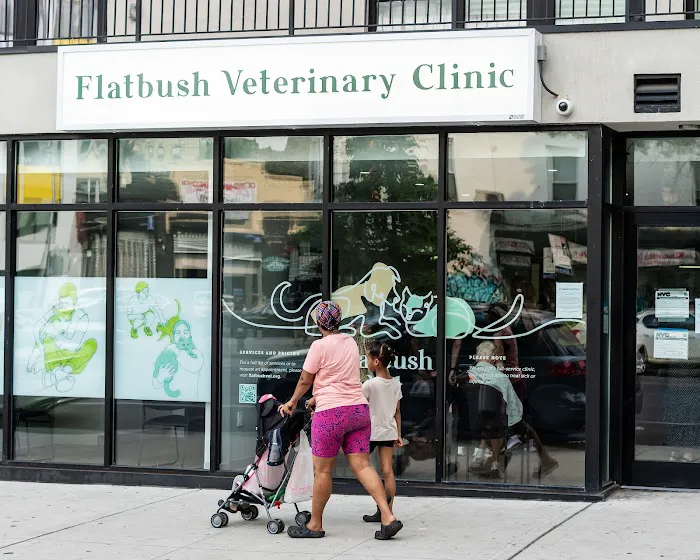 Flatbush Veterinary Clinic Picture 10