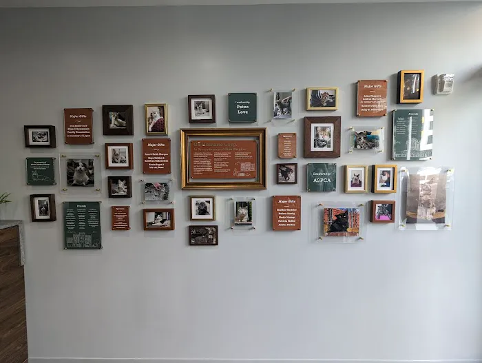 Flatbush Veterinary Clinic Picture 8