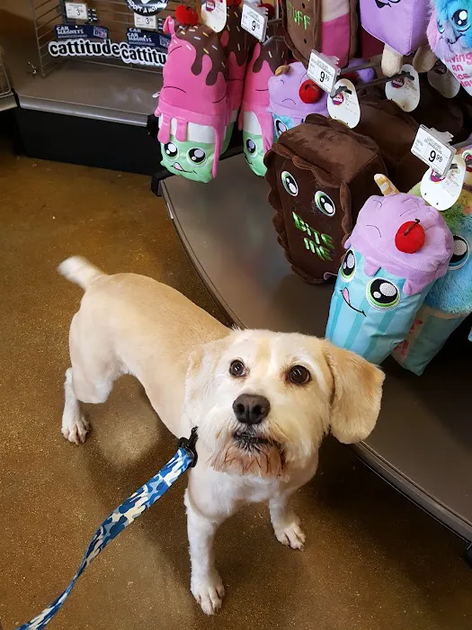 Petco Picture 9