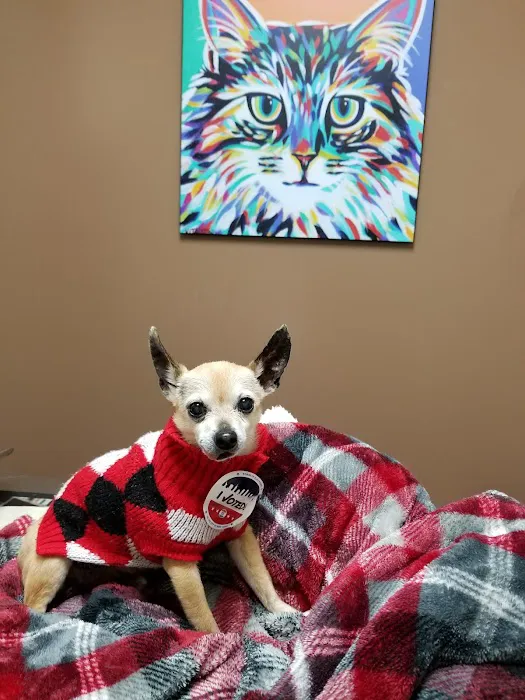 Noah's Ark Veterinary Practice Picture 2