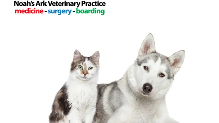 Noah's Ark Veterinary Practice Picture 3