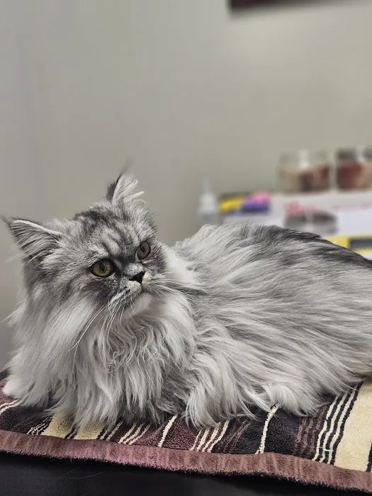 Noah's Ark Veterinary Practice Picture 10
