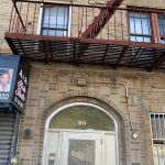 Greenpoint Vet Service