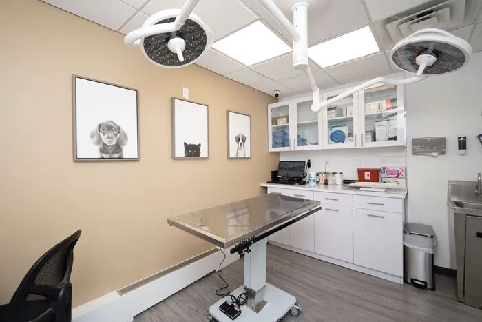 Heart of Chelsea Veterinary Group - Park Slope Picture 1
