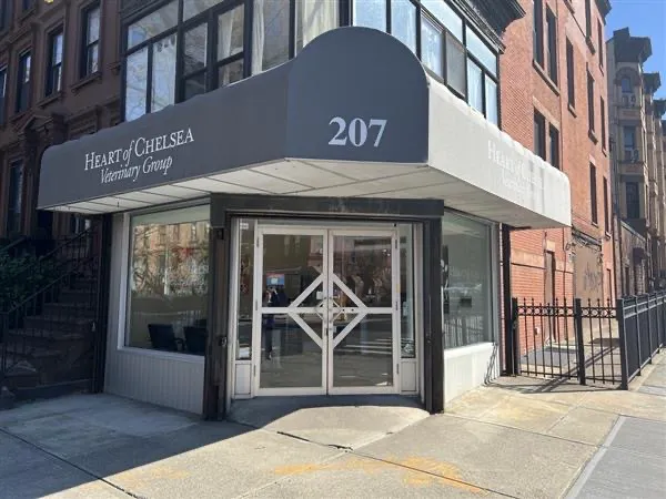 Heart of Chelsea Veterinary Group - Park Slope Picture 4