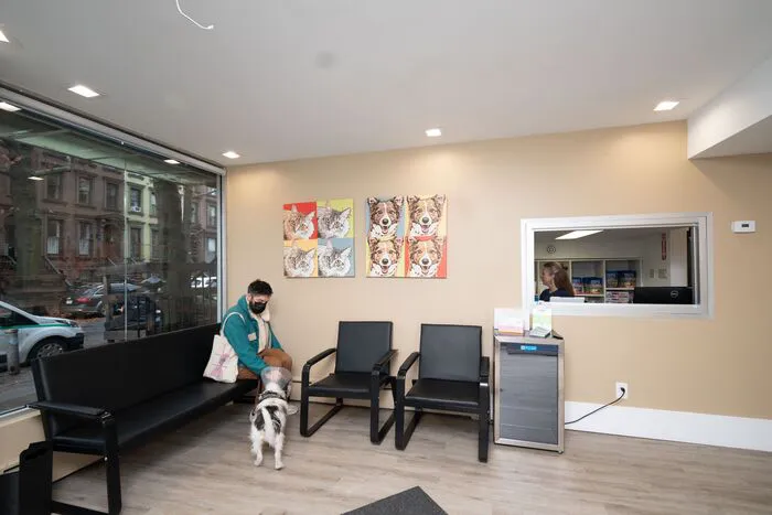 Heart of Chelsea Veterinary Group - Park Slope Picture 5