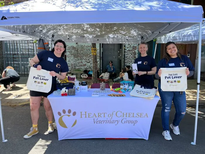 Heart of Chelsea Veterinary Group - Park Slope Picture 8