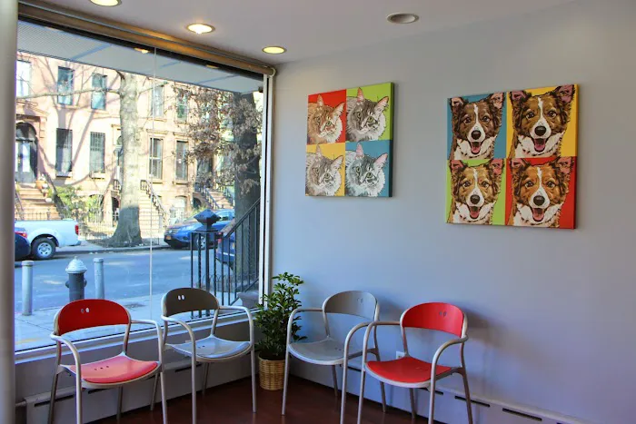 Heart of Chelsea Veterinary Group - Park Slope Picture 10