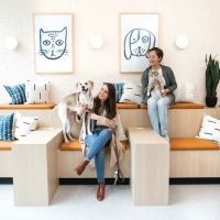Bond Vet - Park Slope ico