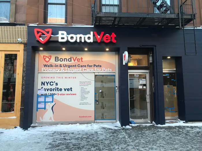 Bond Vet - Park Slope Picture 2