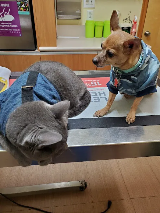 Sheepshead Bay Veterinary Group Picture 9
