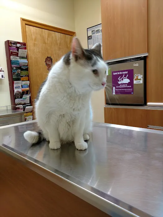 Sheepshead Bay Veterinary Group Picture 6