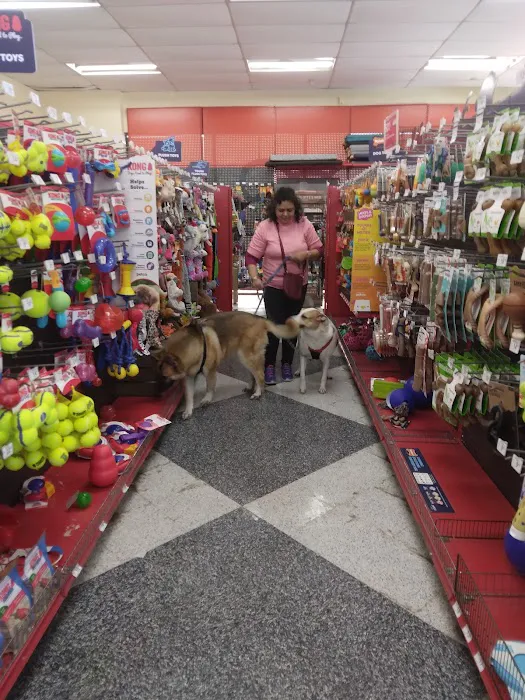 Petco Picture 4