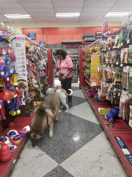 Petco Picture 3