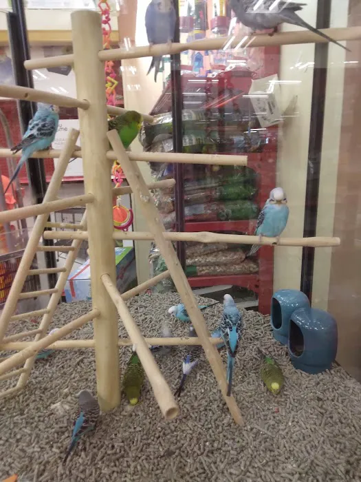 Petco Picture 2
