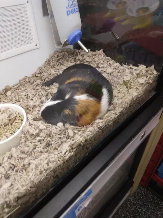 Petco Picture 8