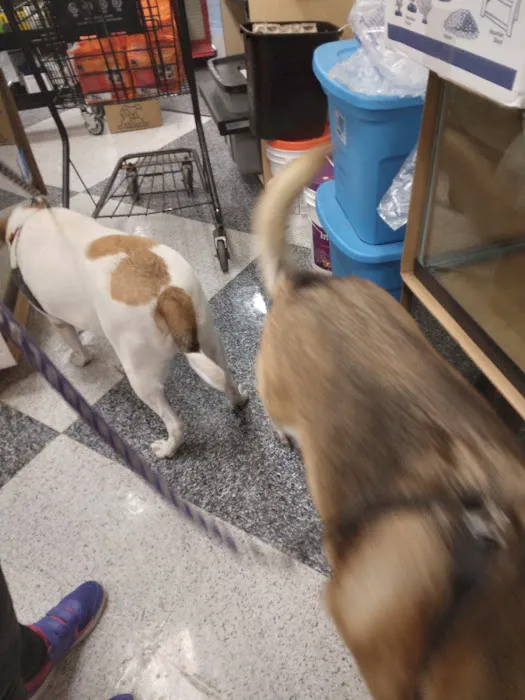Petco Picture 7