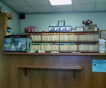 Animal Clinic of Marine Park