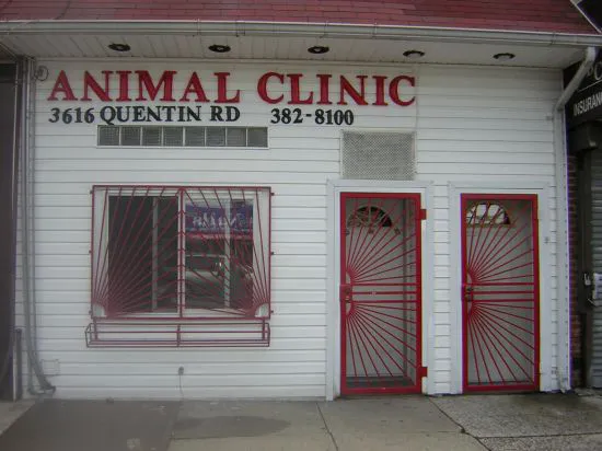 Animal Clinic of Marine Park Picture 8