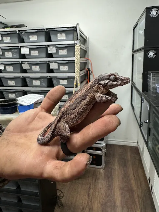 Tatom's Exotic Reptiles (Appointment Required) Picture 4
