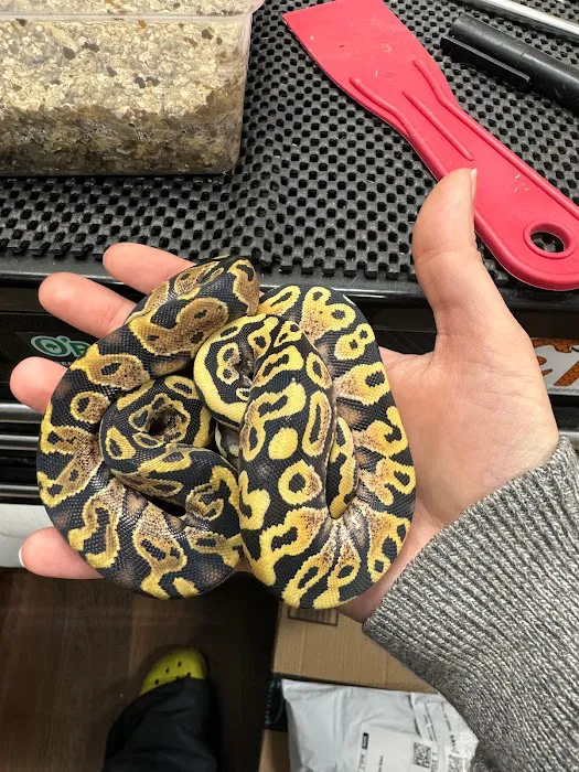 Tatom's Exotic Reptiles (Appointment Required) Picture 7