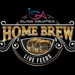 Home Brew Live Feeds