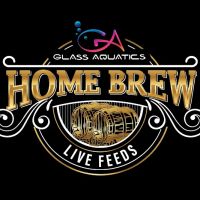Home Brew Live Feeds ico