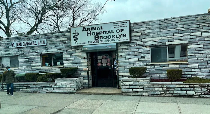 Animal Hospital of Brooklyn Picture 3