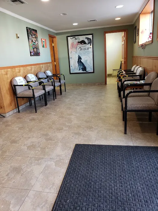 Animal Hospital of Brooklyn Picture 4