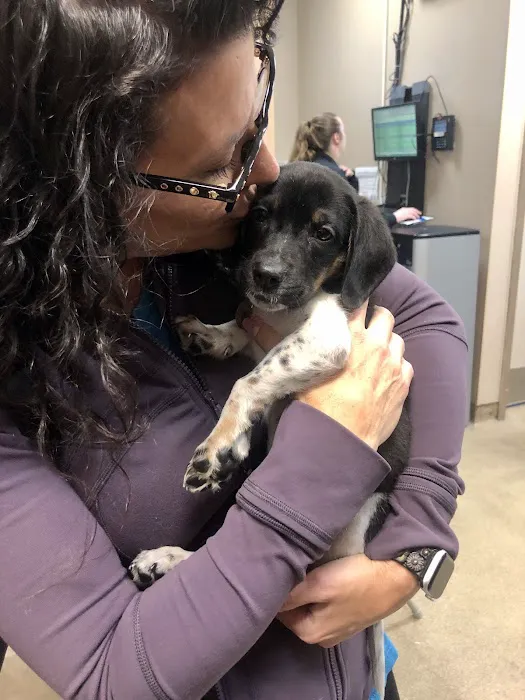 Animal Hospital of Brooklyn Picture 8