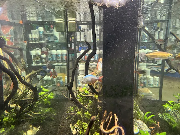 Glass Aquatics Picture 2