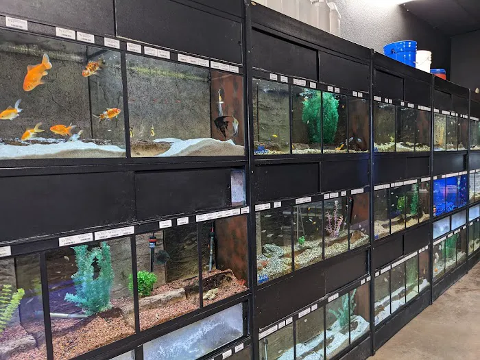 Glass Aquatics Picture 1