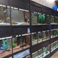 Glass Aquatics ico