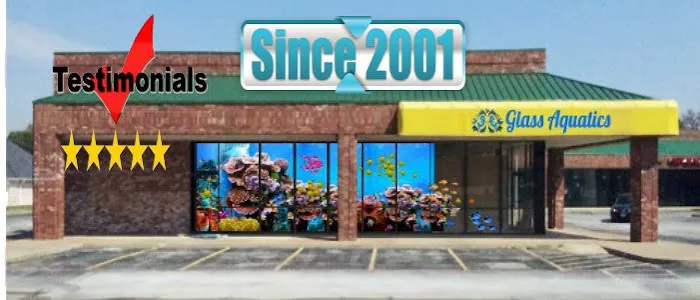 Glass Aquatics Picture 3