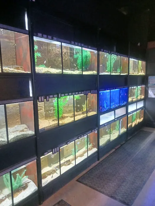 Glass Aquatics Picture 5
